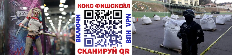 ссылка на мегу маркетплейс  Волгореченск  Cocaine VHQ 