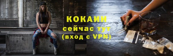 шишки Богданович