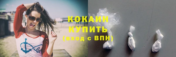 соль ск Белокуриха