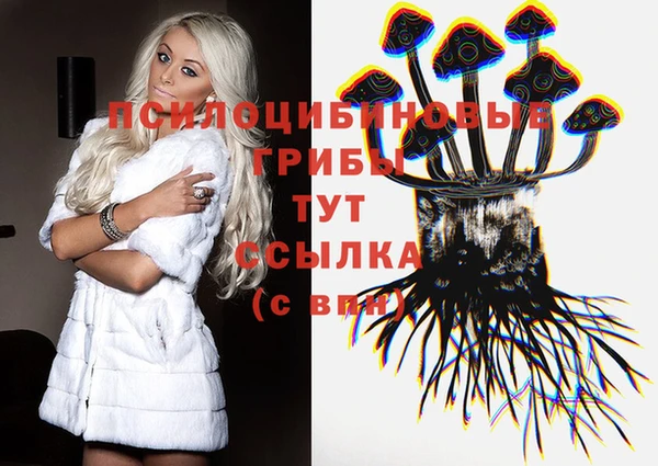 MDMA Premium VHQ Богородицк